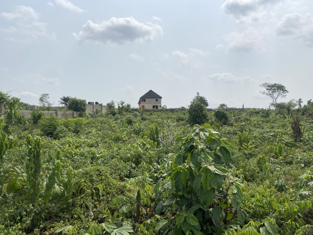 Strategic Commercial Land in Sangotedo