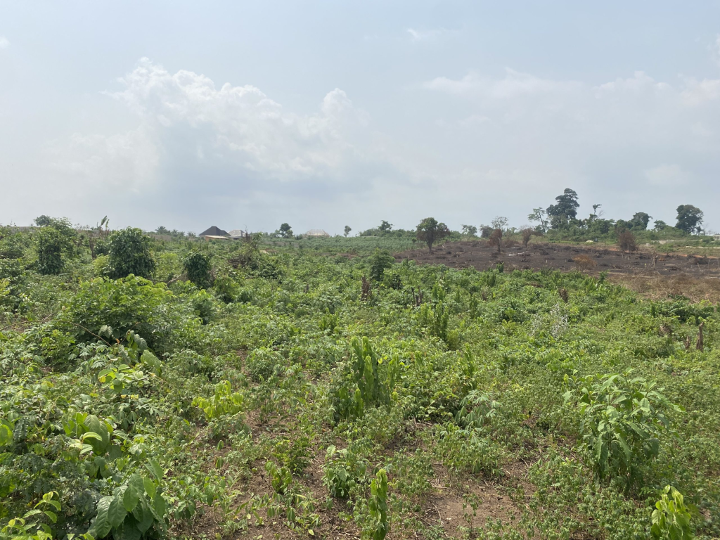 Strategic Commercial Land in Sangotedo