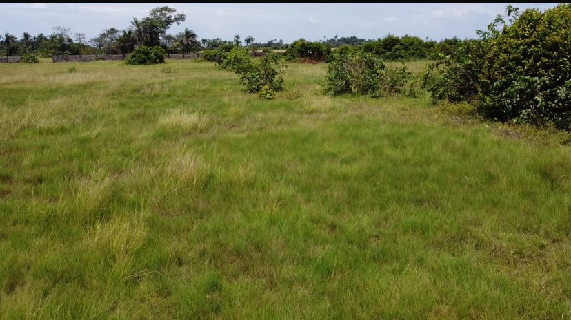 Exclusive Investment Land in Lakowe Near Lekki Epe Expressway 