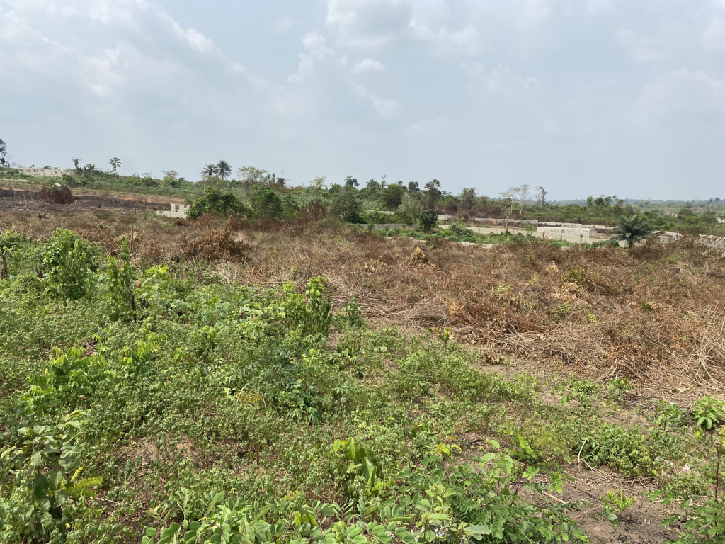 Exclusive Investment Land in Lakowe Near Lekki Epe Expressway 