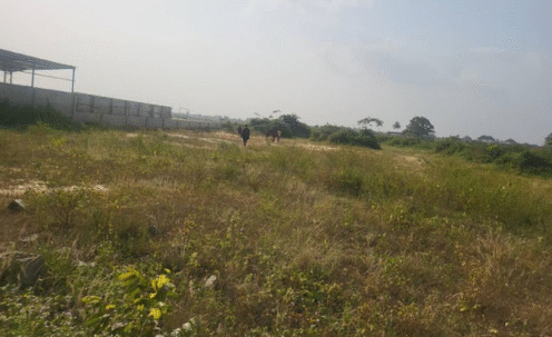 Dry Land in Eleko Lagos