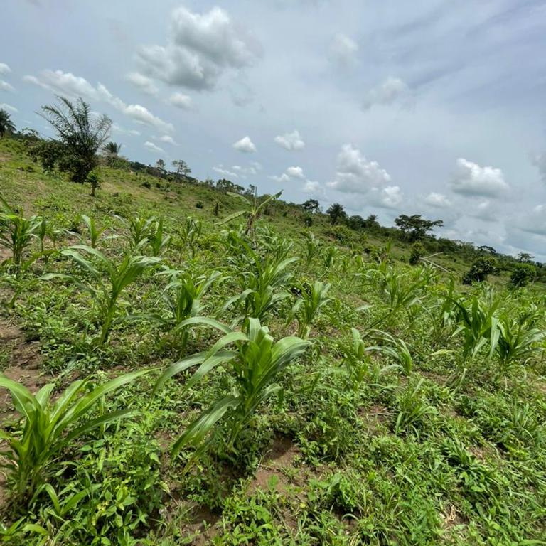 Premium Estate Land in Lakowe Along Lekki Epe Expressway